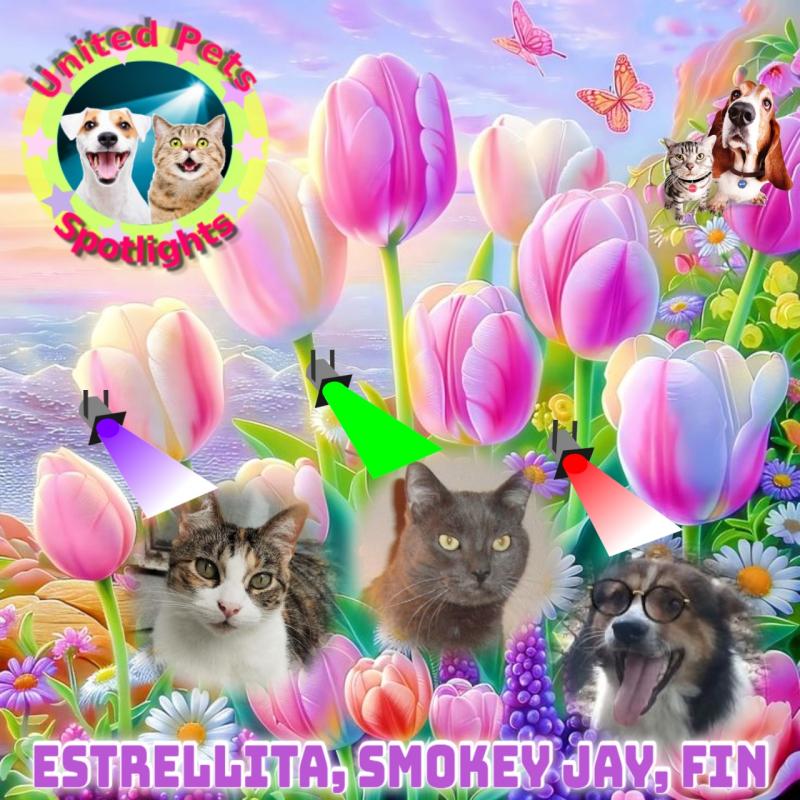 Alejandra uploaded   17 hour/s ago