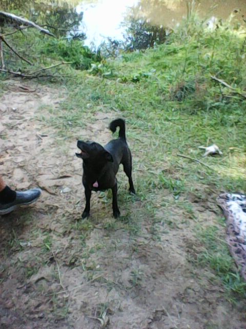 Alma uploaded   6 year/s ago