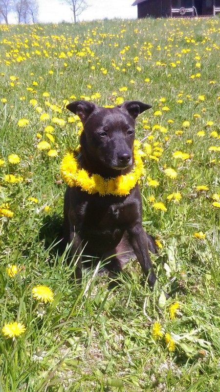 Alma uploaded   6 year/s ago