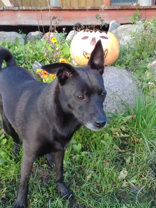 Alma uploaded   6 year/s ago