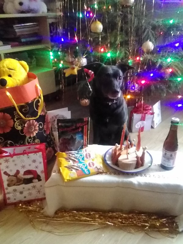 Alma uploaded   6 year/s ago