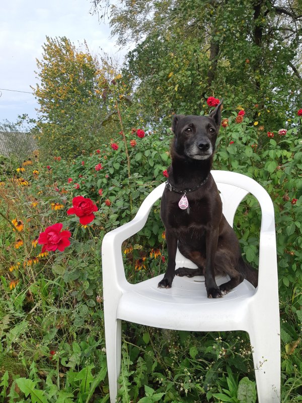 Alma uploaded   5 year/s ago