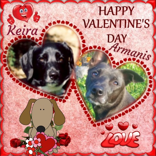 Alma uploaded   86  day/s  ago