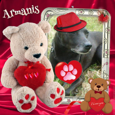 Armanis of the Alma family