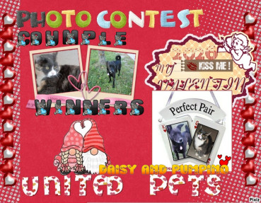 Armanis of the Alma family