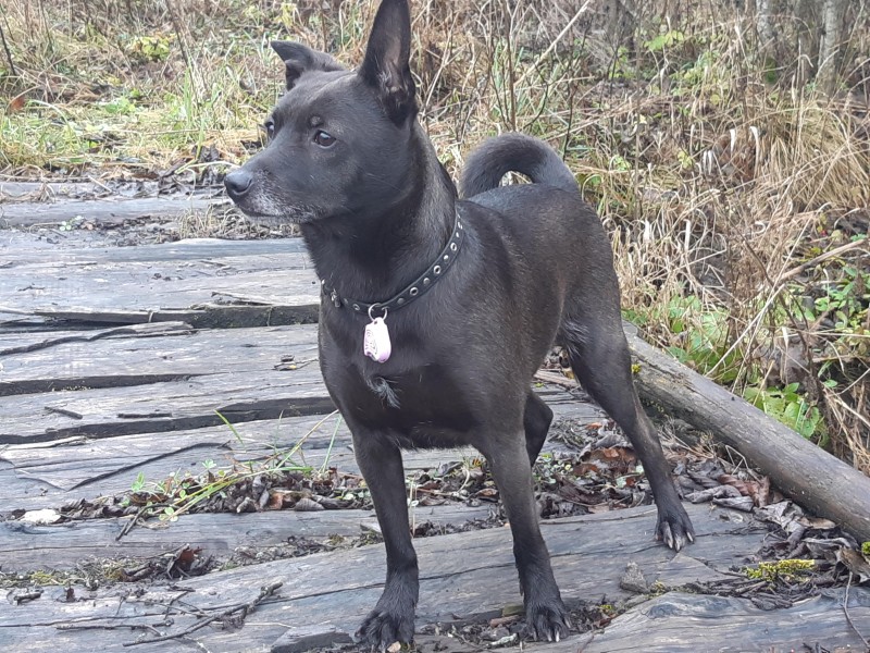 Alma uploaded   4 year/s ago