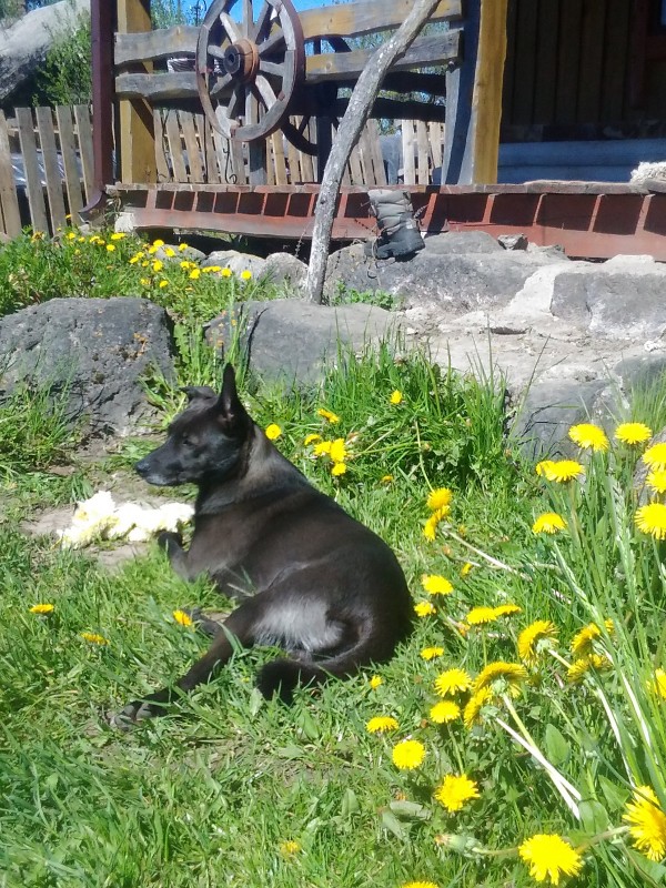 Alma uploaded   3 year/s ago