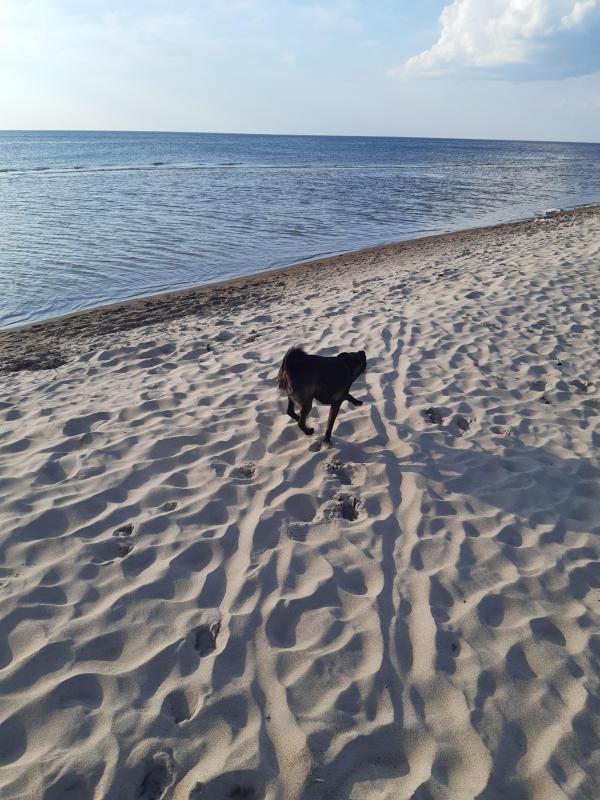 Alma uploaded   3 year/s ago