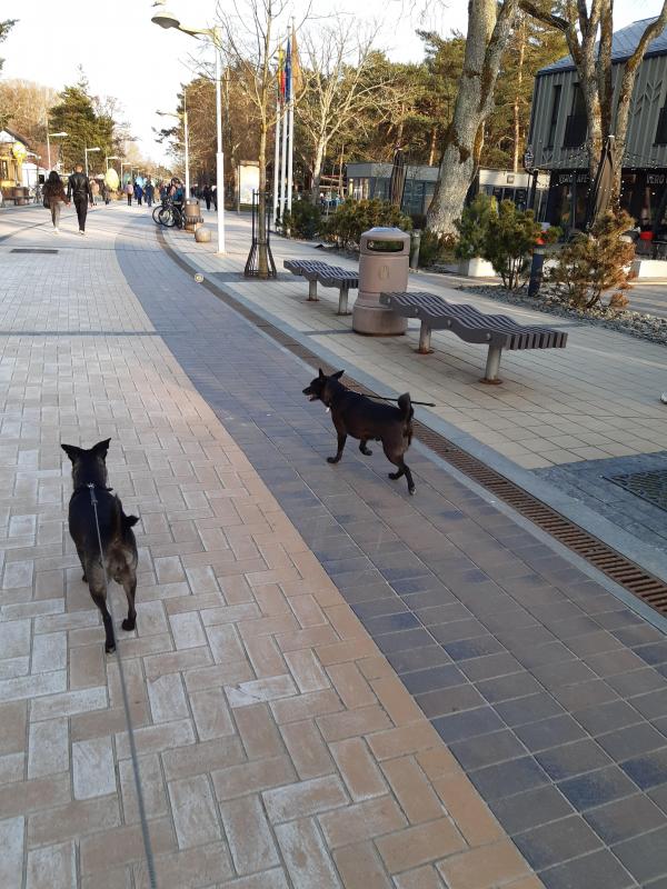 Alma uploaded   3 year/s ago