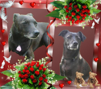 Alma uploaded   86  day/s  ago