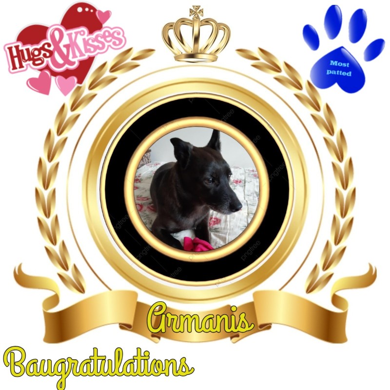 Alma uploaded   2 year/s ago