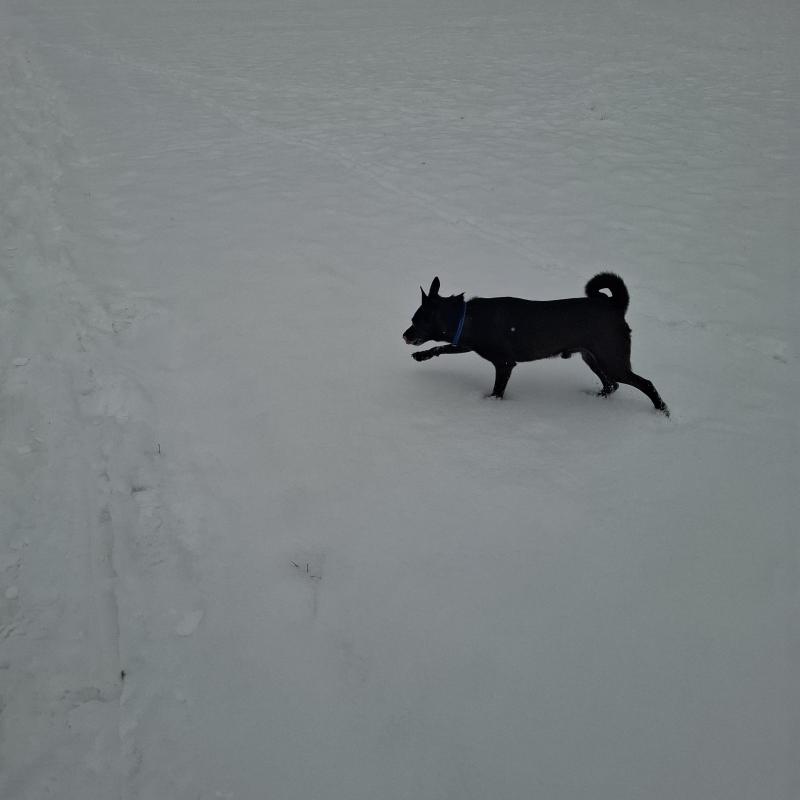 Alma uploaded   1 year/s ago