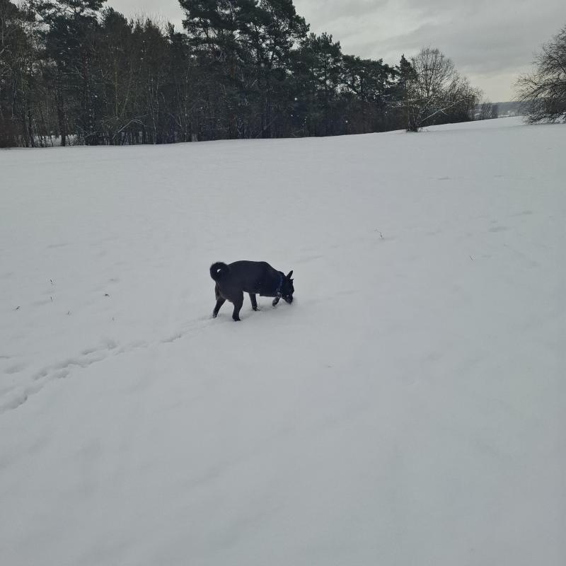 Alma uploaded   1 year/s ago