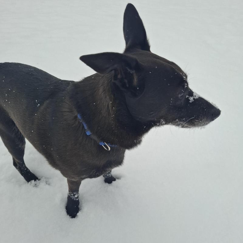 Alma uploaded   1 year/s ago