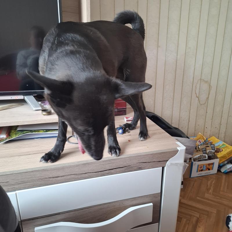 Alma uploaded   1 year/s ago