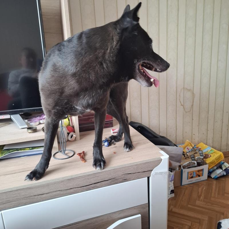 Alma uploaded   1 year/s ago