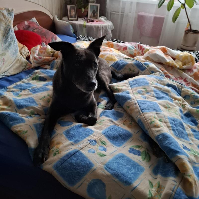 Alma uploaded   1 year/s ago