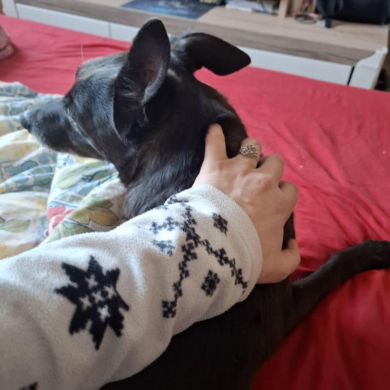 Alma uploaded   1 year/s ago