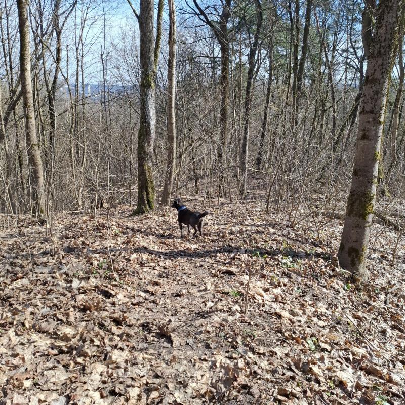 Alma uploaded   1 year/s ago