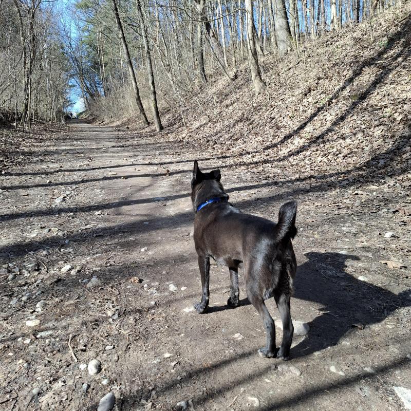 Alma uploaded   1 year/s ago