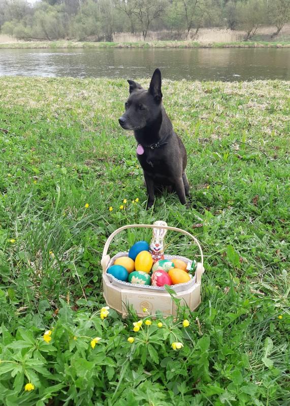 Alma uploaded   1 year/s ago