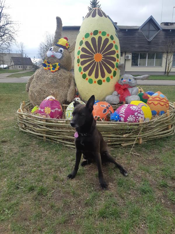 Alma uploaded   1 year/s ago