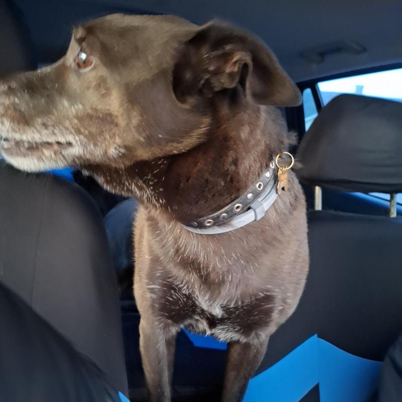 Alma uploaded   349  day/s  ago