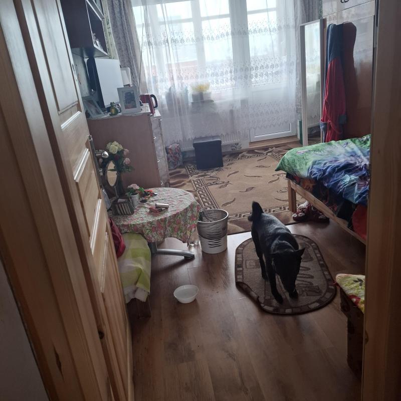 Alma uploaded   340  day/s  ago