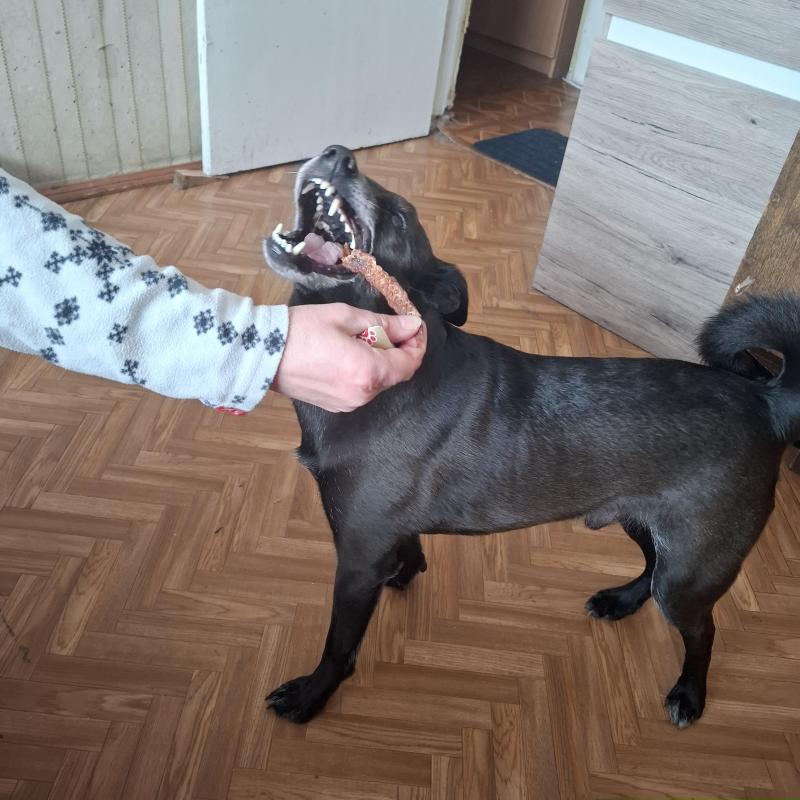 Alma uploaded   340  day/s  ago