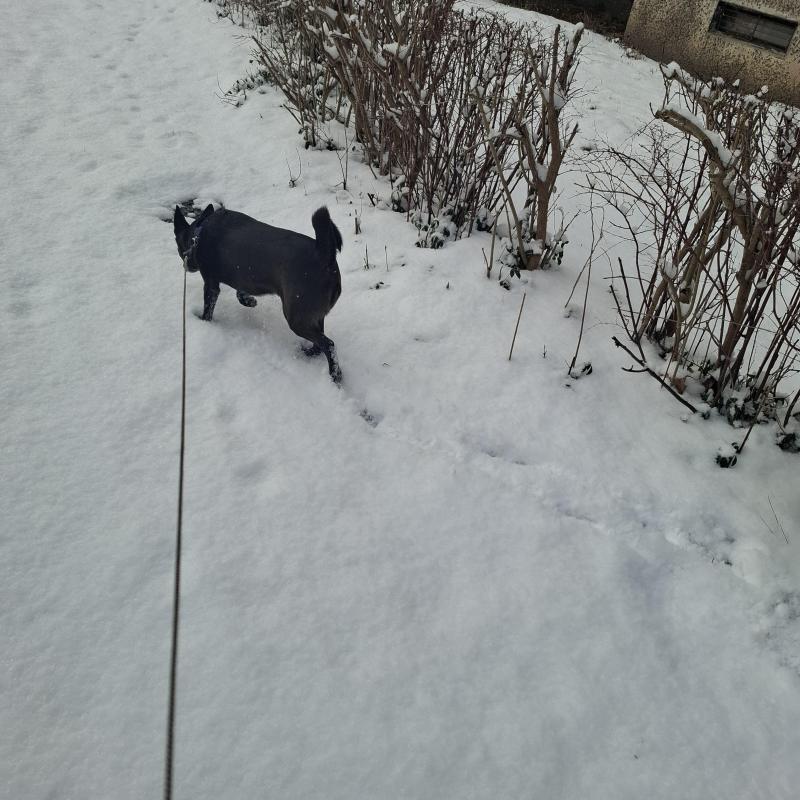 Alma uploaded   1 year/s ago