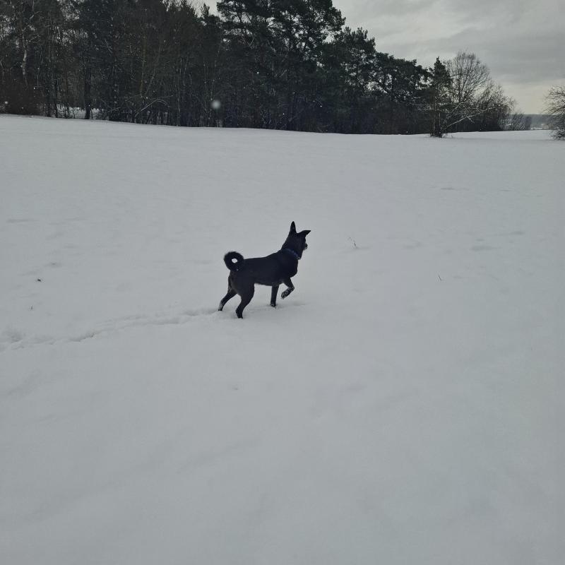 Alma uploaded   1 year/s ago