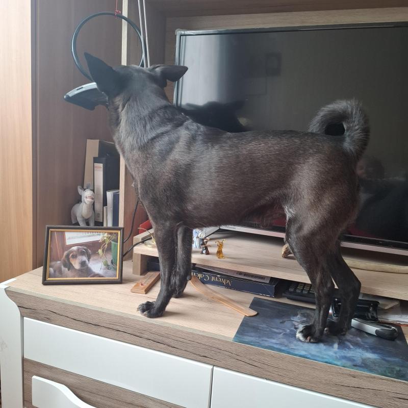 Alma uploaded   1 year/s ago