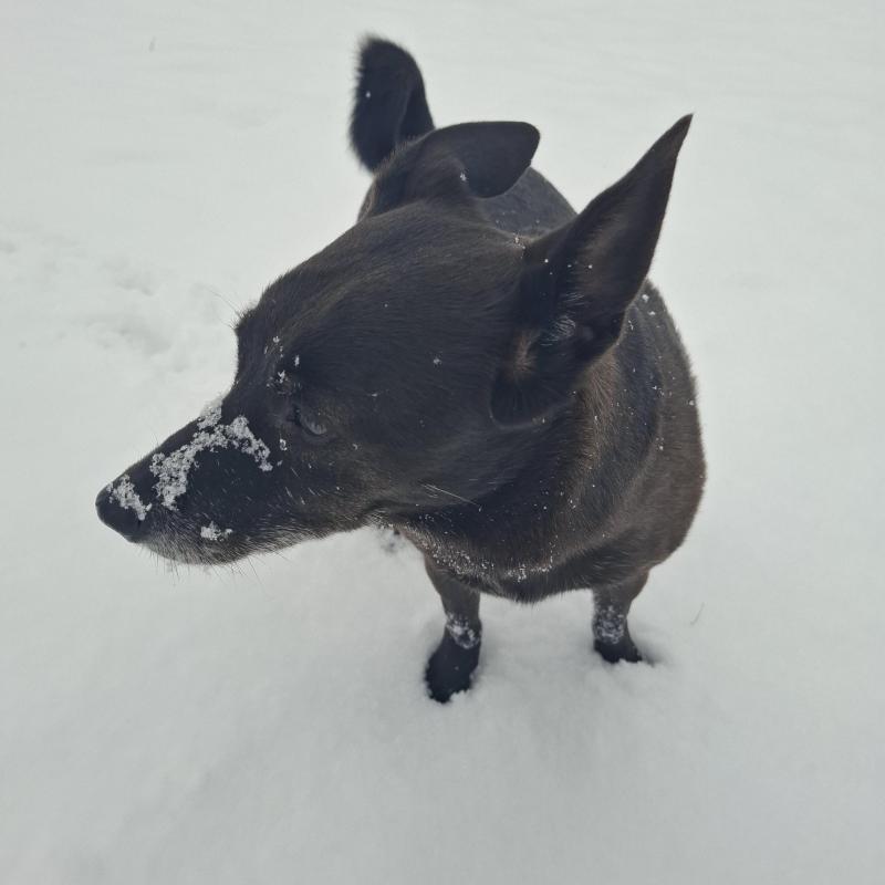 Alma uploaded   1 year/s ago