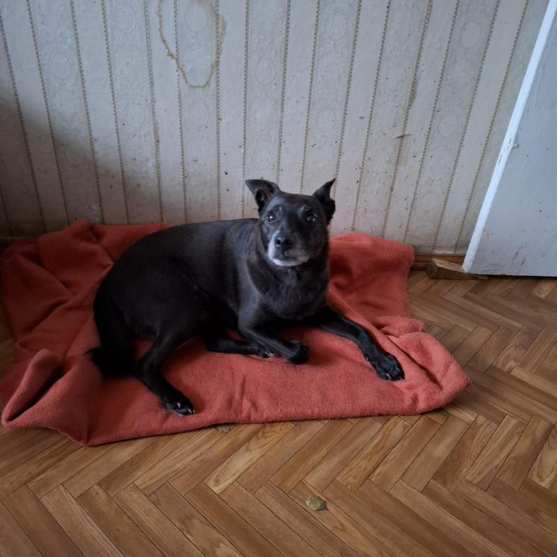 Alma uploaded   1 year/s ago