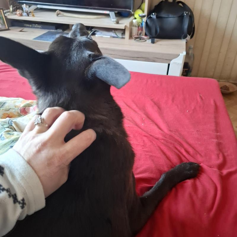 Alma uploaded   1 year/s ago