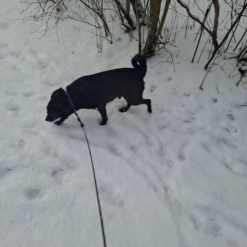 Alma uploaded   1 year/s ago