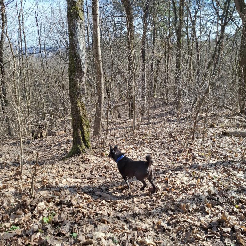 Alma uploaded   1 year/s ago