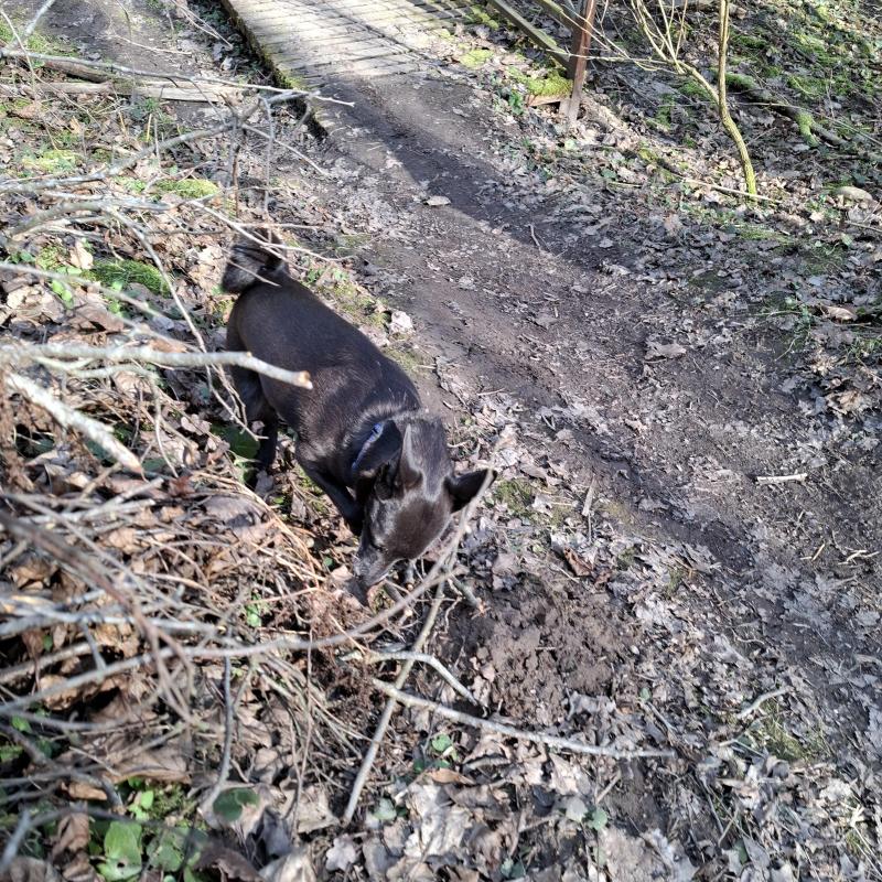 Alma uploaded   1 year/s ago