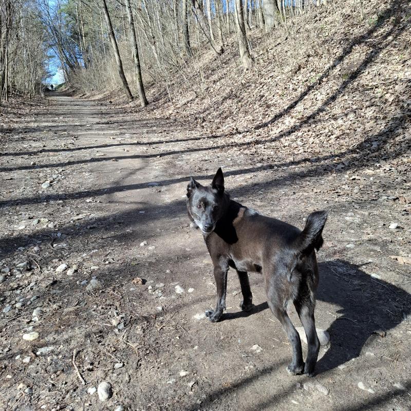 Alma uploaded   1 year/s ago