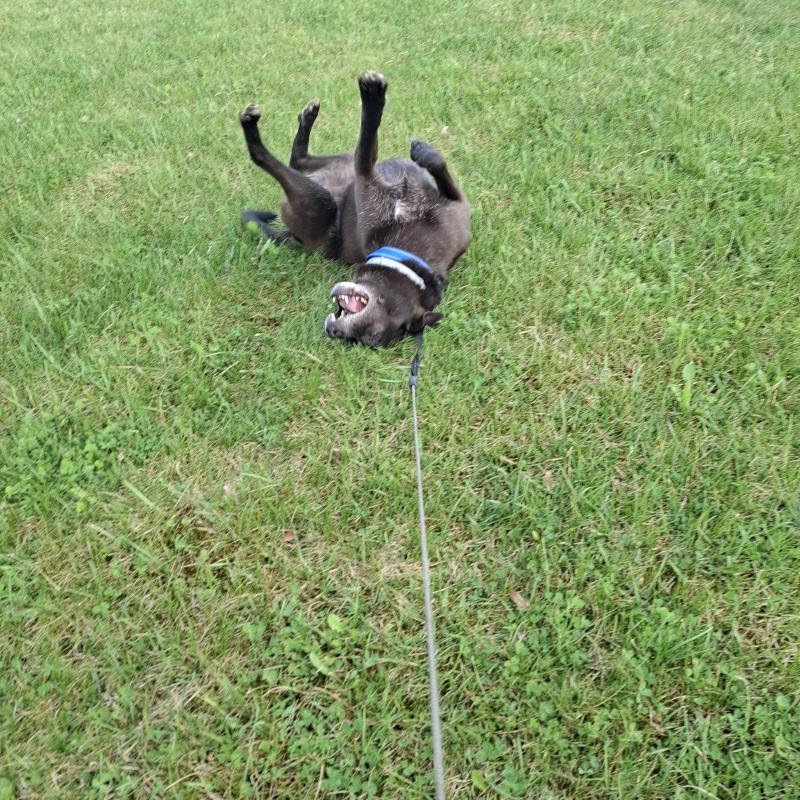 Alma uploaded   1 year/s ago