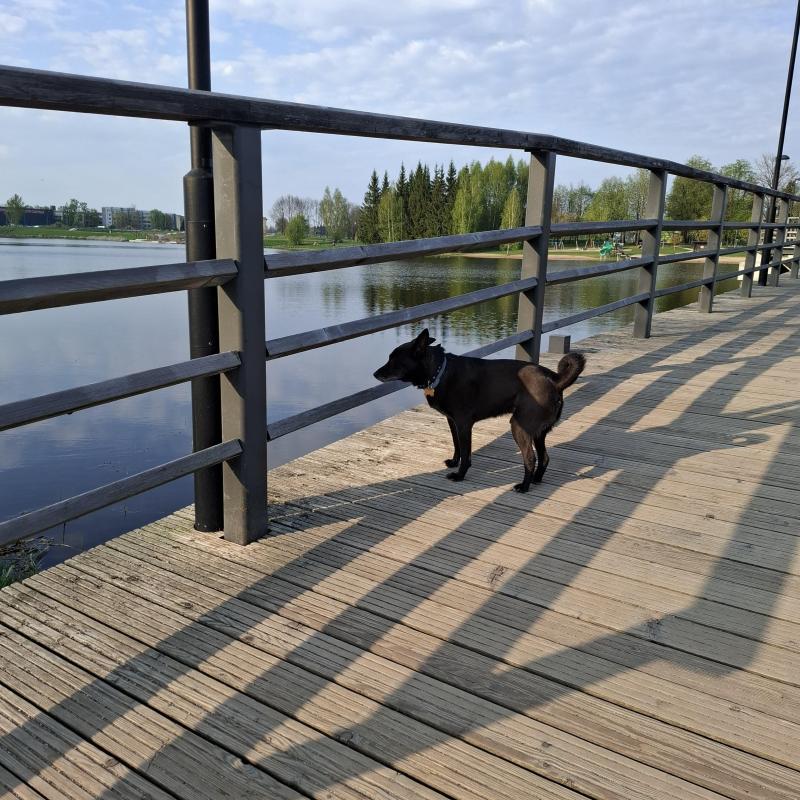 Alma uploaded   349  day/s  ago