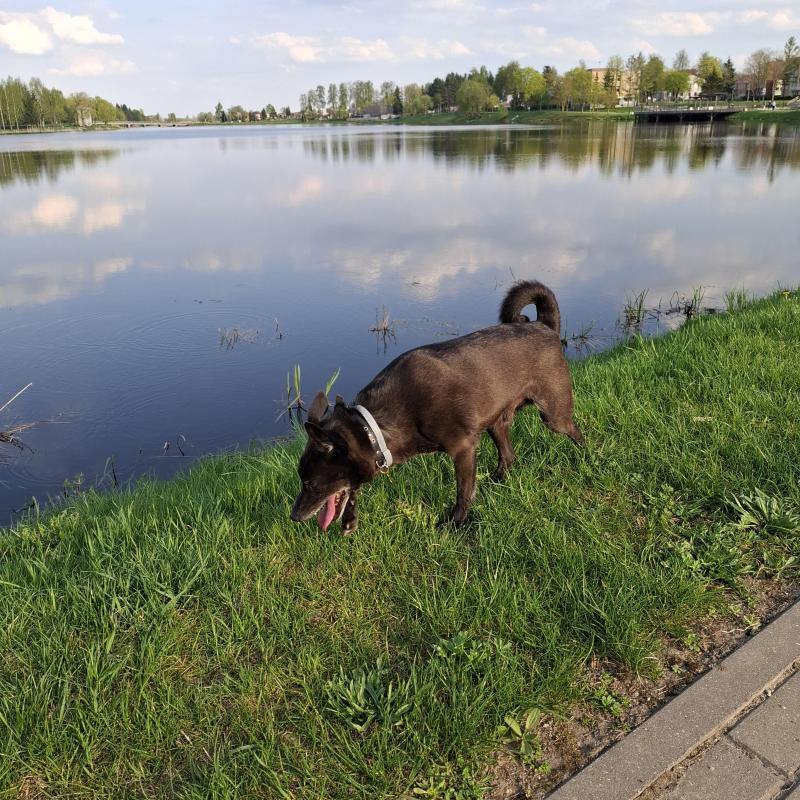 Alma uploaded   362  day/s  ago