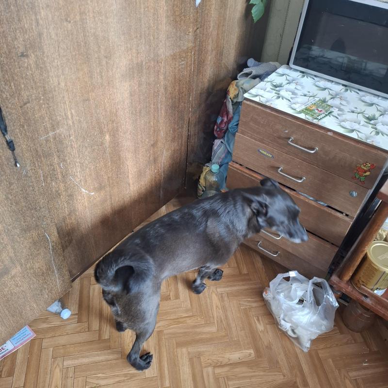 Alma uploaded   340  day/s  ago