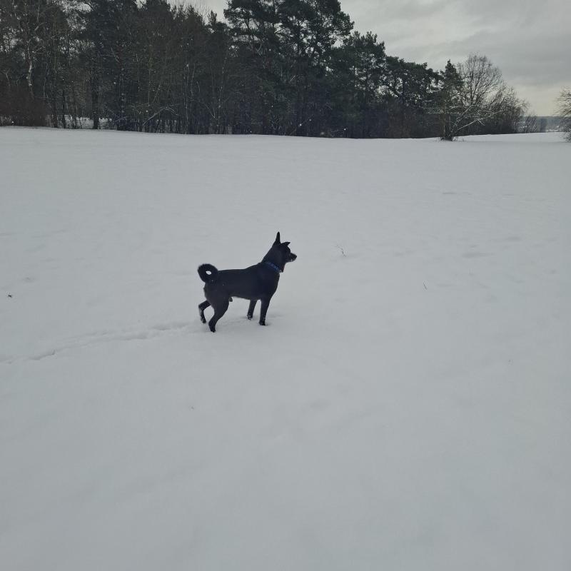 Alma uploaded   1 year/s ago