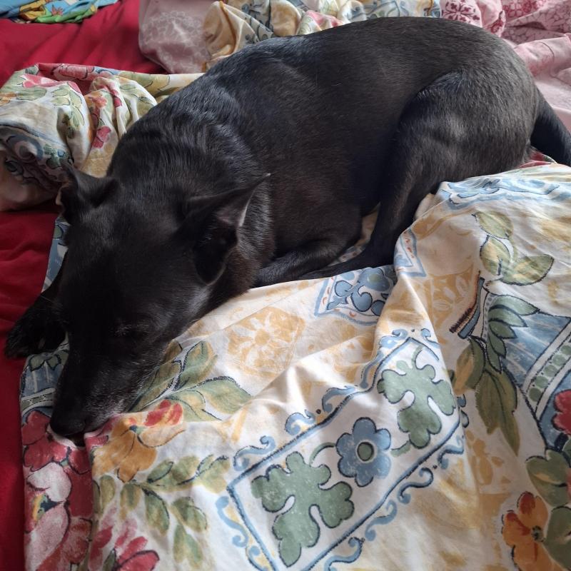 Alma uploaded   1 year/s ago