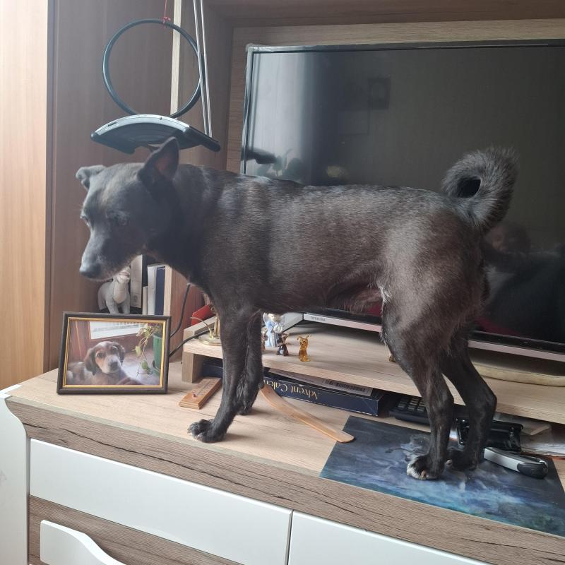 Alma uploaded   1 year/s ago