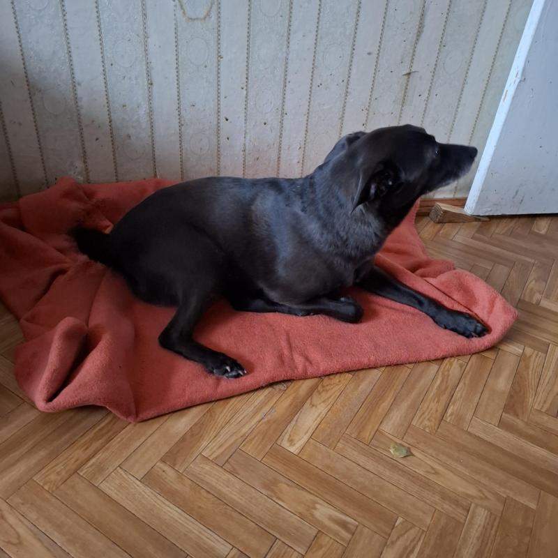 Alma uploaded   1 year/s ago