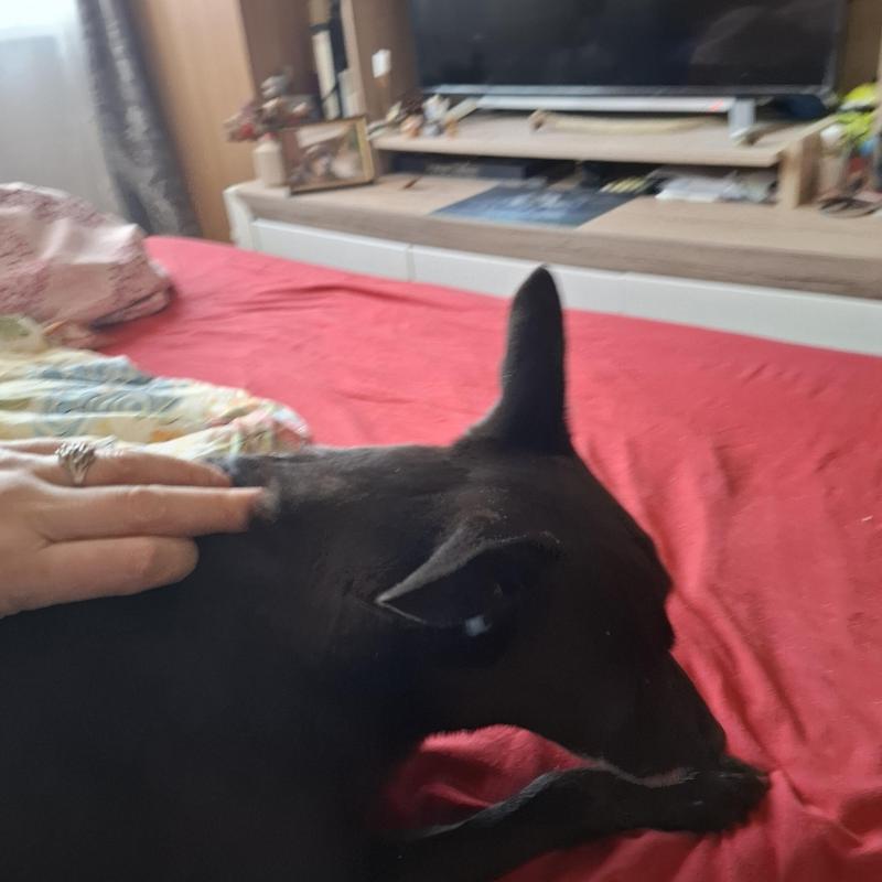 Alma uploaded   1 year/s ago