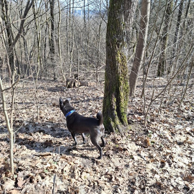 Alma uploaded   1 year/s ago