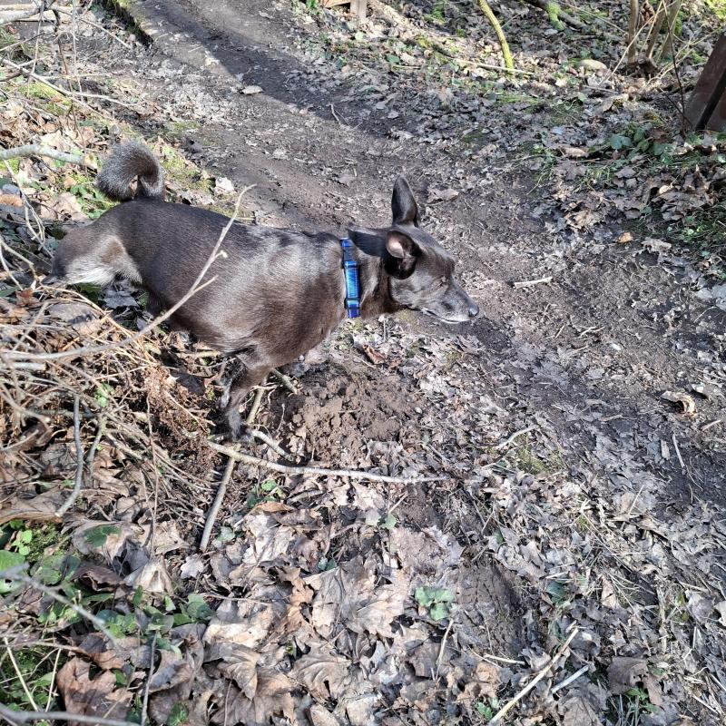 Alma uploaded   1 year/s ago